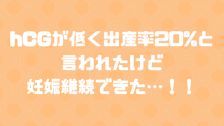 プロゲステロンが低い私でも妊娠できた 妊娠初期の薬は 主婦の節約術から子育てや不妊治療ブログ